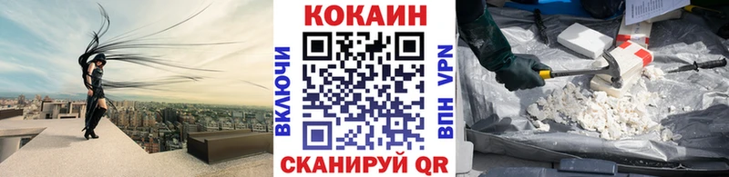 мега вход  где можно купить наркотик  Кизляр  Cocaine Эквадор 