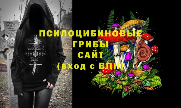 твердый Абинск