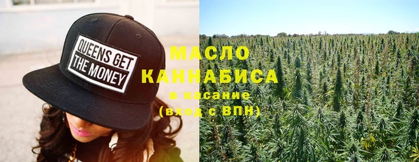 крисы Абаза
