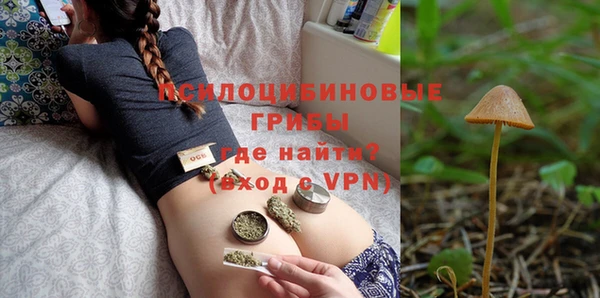 крисы Абаза