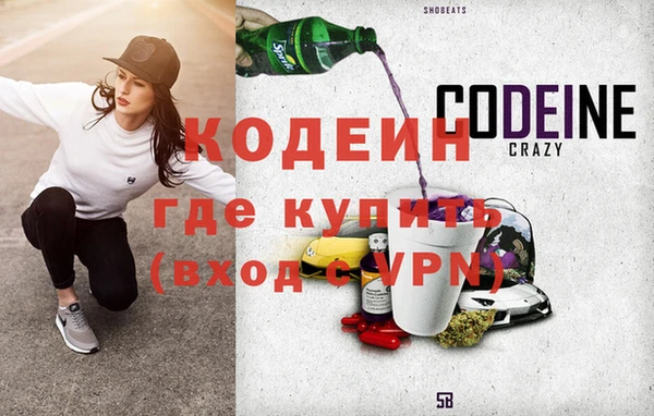 крисы Абаза