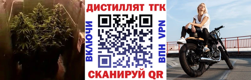 где можно купить   Кизляр  Дистиллят ТГК THC oil 