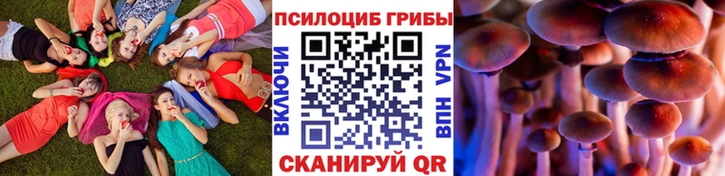 Псилоцибиновые грибы GOLDEN TEACHER  это какой сайт  ссылка на мегу вход  Кизляр  закладка 